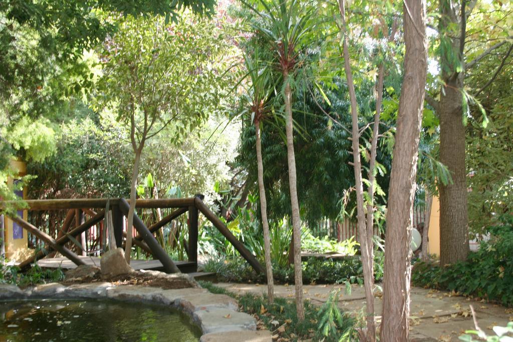 Jedidja Bed And Breakfast บลูมฟอนเทน ภายนอก รูปภาพ